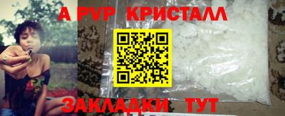 твердый Гусев