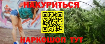 твердый Гусев