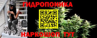 спиды Гусь-Хрустальный