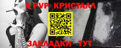 твердый Гусев