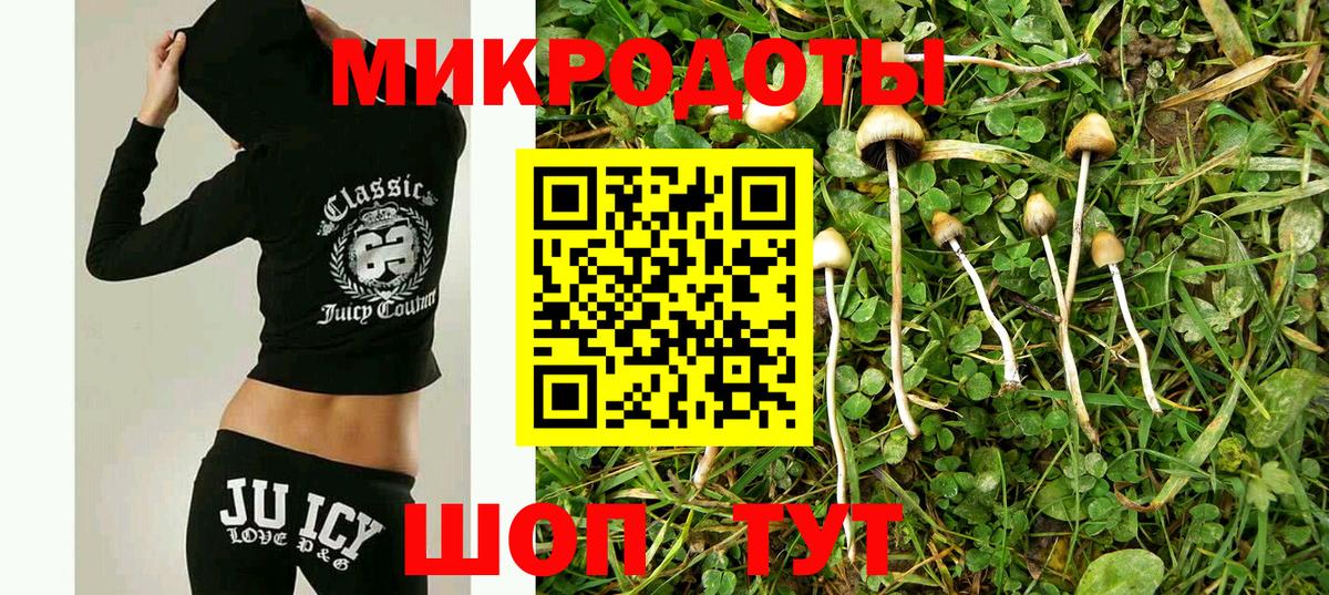 Псилоцибиновые грибы Psilocybe  Вход с VPN  Галлюциногенные грибы прущие грибы  Наро-Фоминск 